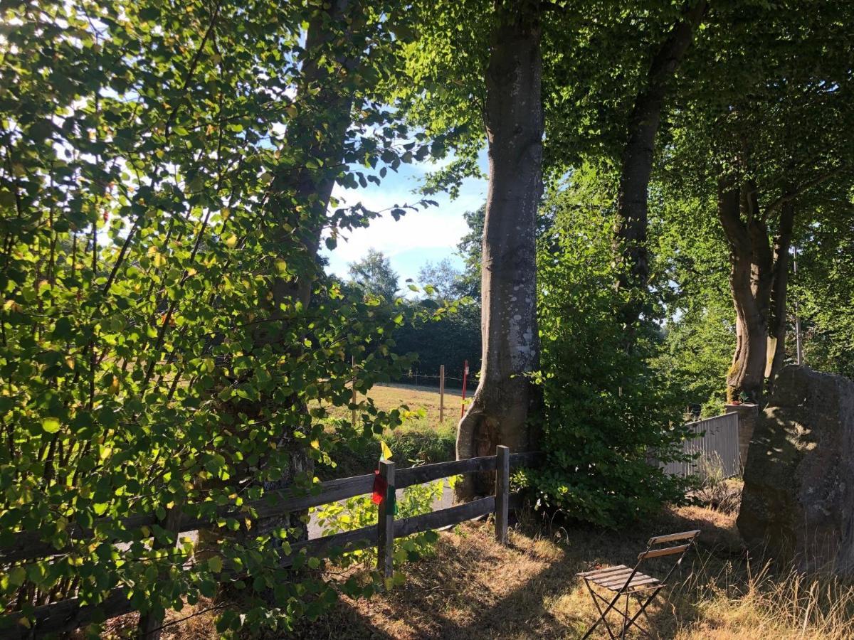 Le Refuge De Kila Bed & Breakfast Waimes Eksteriør bilde